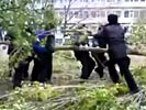 Cop slammed by tree