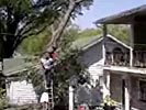 Tree cutting ladder accident