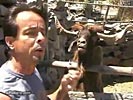 Unmannered goat spits reporter in the face.