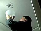Giant spider attacks brave dad! 