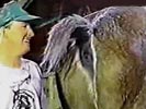 Horse farts in dude's face during interview.