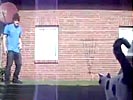 Breakdancer sents cat flying